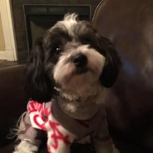 Meet your Posher, Joan